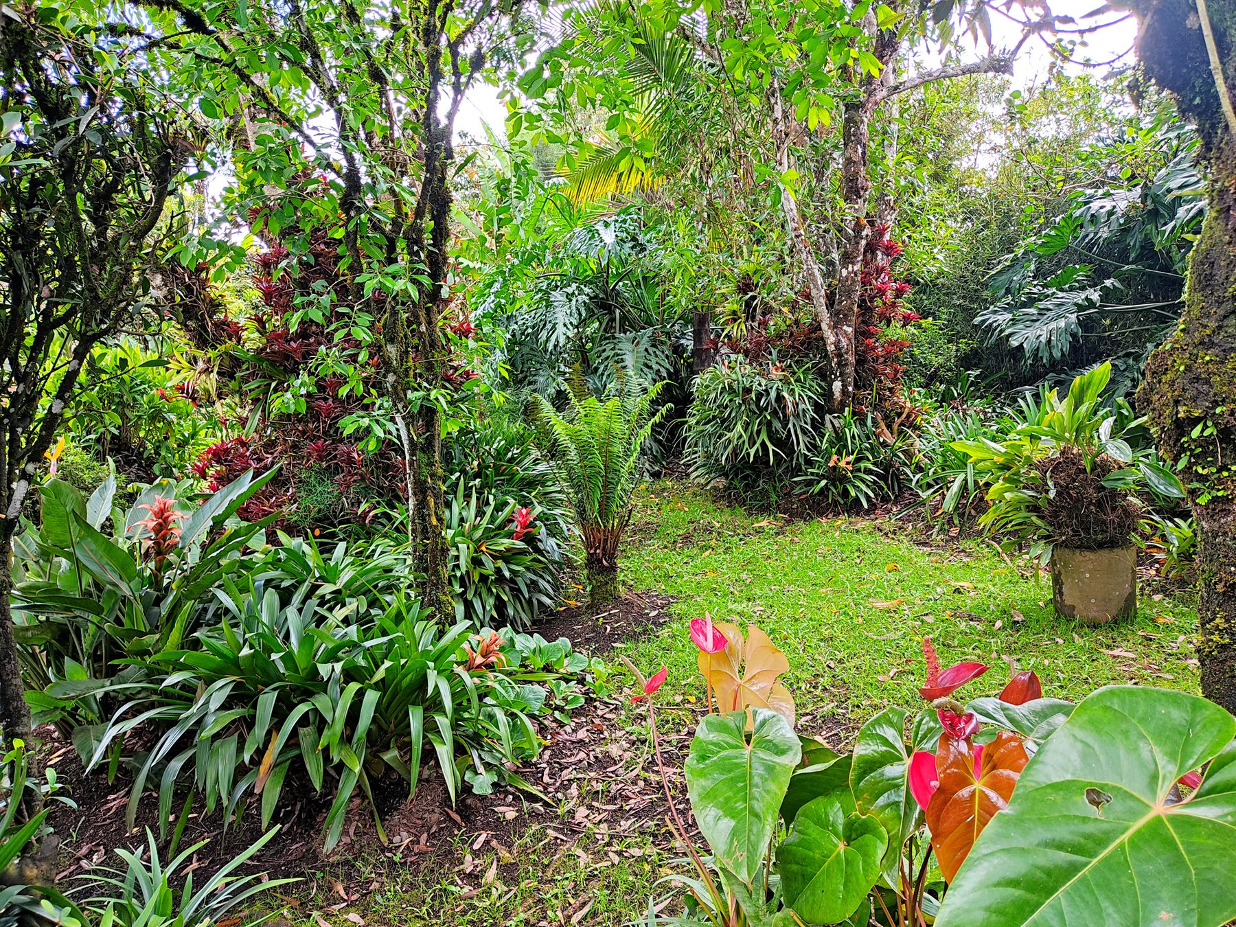 Jardín y bosque propio
